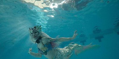 poster de la série Range ta queue, mon chou