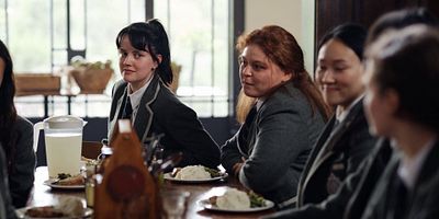 poster de la série Le papillon et la flamme