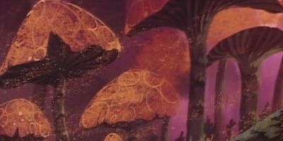 poster de la série La Mystérieuse vallée des champignons