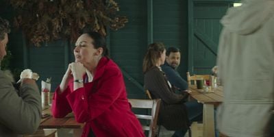 poster de la série Comme chien et chat