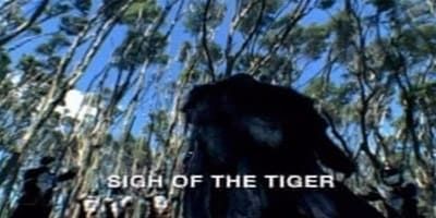 poster de la série L'Esprit du Tigre