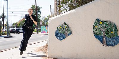 poster de la série Dominick