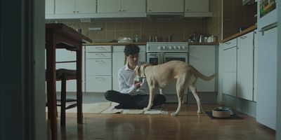 poster de la série Erik