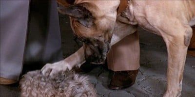 poster de la série L'amour est aveugle