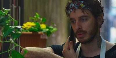 poster de la série Vies de chien