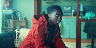 poster de la série La Furie, c'est comme la gale