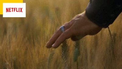 image de la news Netflix : l'un des meilleurs films des années 2000 va quitter la plateforme (mais il aura une suite)