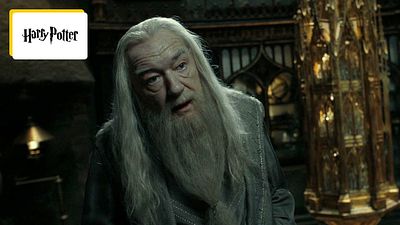 image de la news Le plus vieux personnage de Harry Potter ? Voilà quel âge a Dumbledore