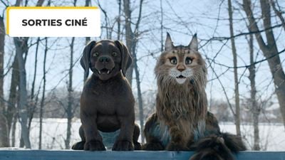 Chien et Chat : quels acteurs prêtent leur voix aux animaux de cette comédie avec Philippe Lacheau, Franck Dubosc et Reem Kherici ?