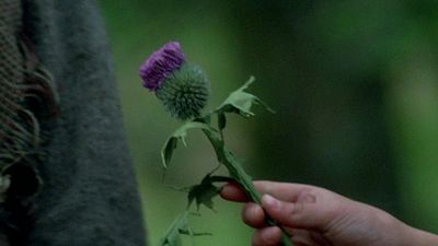 image de la news 4,2 sur 5 : ce soir sur Disney+, l'un des films les plus épiques des années 90