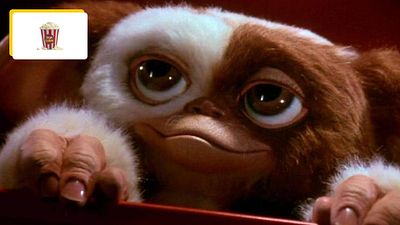 image de la news Gremlins : pourquoi Gizmo est-il la seule gentille bestiole du film ?