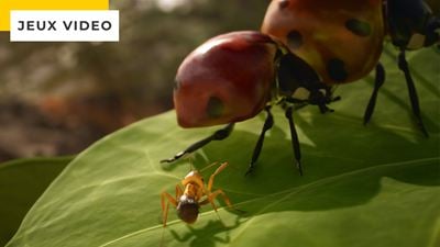 Les Fourmis, best-seller de Bernard Werber, adapté en jeu vidéo