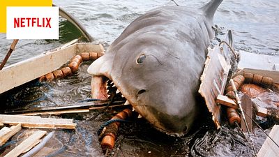image de la news Netflix : des requins attaquent l'équipe d'un documentaire en plein tournage, "comme dans Les Dents de la mer" !
