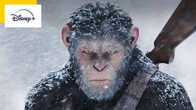 image de la news La Planète des Singes : après le film, une nouvelle série en développement ?