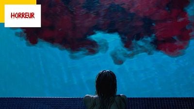 image de la news Noté 4,4 sur 5, le film d'horreur It Follows va avoir une suite !