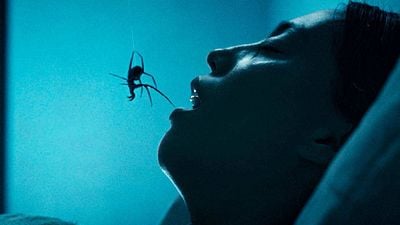 image de la news Premières images Crawlers : 3 ans après Vermines, ce film va-t-il devenir le nouveau phénomène horrifique de l'année ? La bande-annonce est prometteuse !
