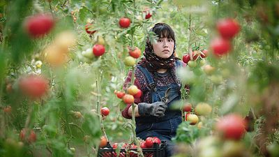 image de la news Au pays de nos frères : un drame familial touchant et engagé