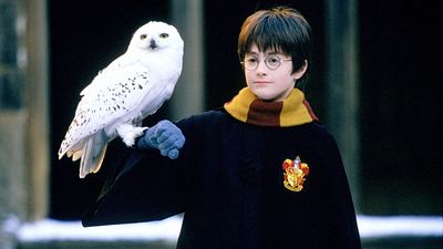 image de la news Harry Potter : ces scènes absentes du premier film qu’on espère voir dans la série !