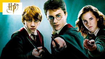 image de la news Harry Potter : la colère des fans sur les réseaux sociaux après l’annonce de la série