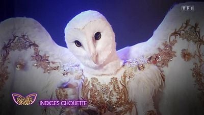 image de la news Mask Singer 2026 : qui se cache derrière la Chouette ? Nos pronostics