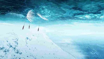 image de la news "Un passionnant objet non identifié" : noté 3,6 sur 5, c'est le film à voir absolument cette semaine !