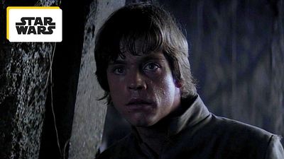 image de la news Star Wars : Mark Hamill a incarné Luke Skywalker, mais aussi un autre personnage. Savez-vous lequel ?