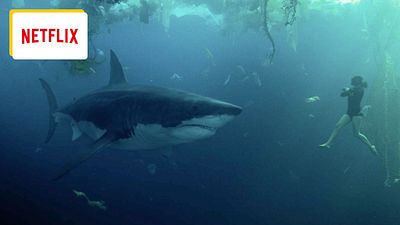 image de la news Nouveautés Netflix : 10 films et séries débarquent cette semaine et l'un d'entre eux ne s'adresse pas aux squalophobes !