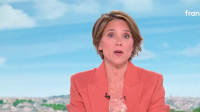 image de la news JT de 13h de France 2 : "On tenait à vous présenter nos excuses", Mélanie Taravant surprise en direct