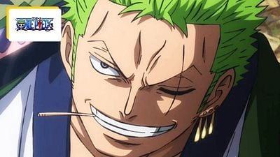 Netflix : quel est le lien entre Zoro de One Piece et le héros de Monsters ?