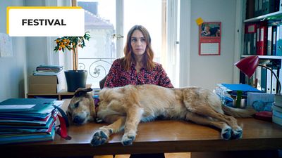 image de la news Champs-Elysées Film Festival 2024 : la nouvelle sensation canine après Messi, les retrouvailles de Pierre Niney et Michel Gondry… Demandez le programme !