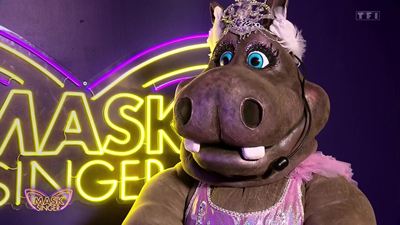 Mask Singer : les stars ont-elles leur mot à dire sur le choix des costumes ?