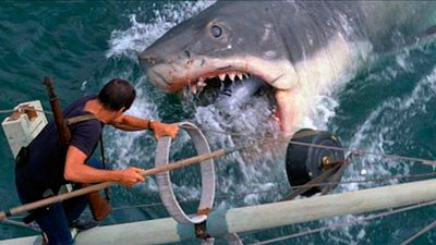 image de la news Les Dents de la mer : la surprenante confession de Spielberg