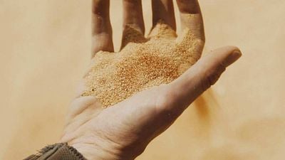 image de la news "On est proche du chef-d’œuvre" : noté 4,2 sur 5, c'est le meilleur film de science-fiction de 2021... Et il a fait plus de 3 millions d'entrées en France !