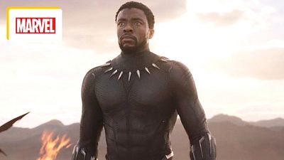 image de la news Black Panther 3 : bientôt un nouvel acteur pour incarner ce super-héros Marvel ?
