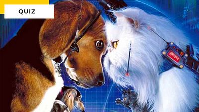 image de la news Quiz chien ou chat : quel animal a disparu de ce film ?