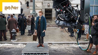 image de la news Harry Potter : "L’idée qu’il y aurait cinq films a été une surprise pour la plupart d’entre nous" révèle le réalisateur des Animaux Fantastiques