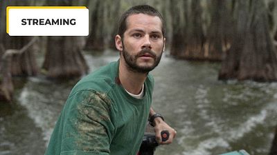 image de la news Dispo en streaming : vous ne verrez pas venir le twist de ce thriller produit par Shyamalan