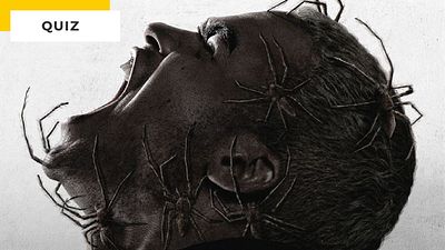 image de la news Quiz Cinéma : 9 films à reconnaître sans se gratter !