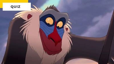 Quiz Disney : dans quel film voit-on ce singe ?
