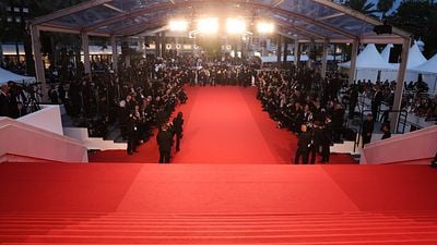 image de la news 22 films pour la Palme d'Or 2025 : qui succèdera à Anora au 78e Festival de Cannes ?