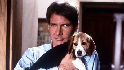 image de la news "Je me suis senti humilié" : cet acteur culte de 62 ans ne garde pas un bon souvenir de ce film des années 90 avec Harrison Ford
