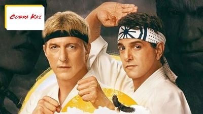 Sans cette scène d'How I Met Your Mother, la série Cobra Kai n'aurait jamais vu le jour !