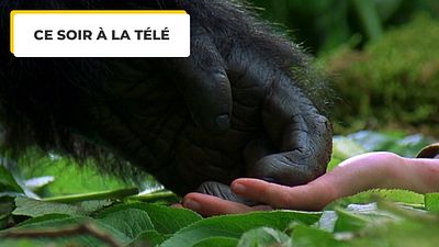 image de la news Ce soir à la télé : le destin de cette femme incroyable a ému des millions de spectateurs à travers le monde