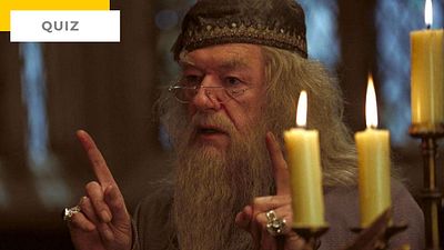 image de la news Quiz Harry Potter : savez-vous écrire le nom des héros sans erreur ?