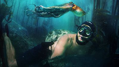 image de la news Absolument formidables, ces 3 films vont vous faire aimer les océans encore davantage