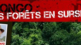 image de la news Marion Cotillard au Congo pour Greenpeace !