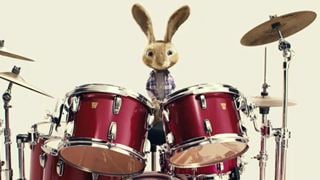 "Hop" : un lapin batteur en images !