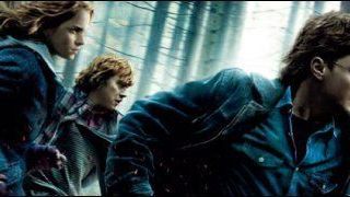 image de la news Box-office : Potter prend de la hauteur