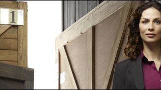 image de la news De "Warehouse 13" à "No Ordinary Family"