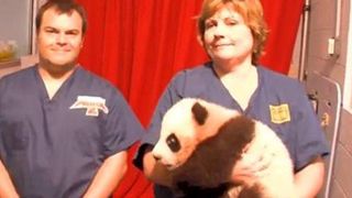 image de la news Jack Black à la rencontre de Po le panda !